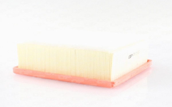 Air Filter (EAF3643.10)