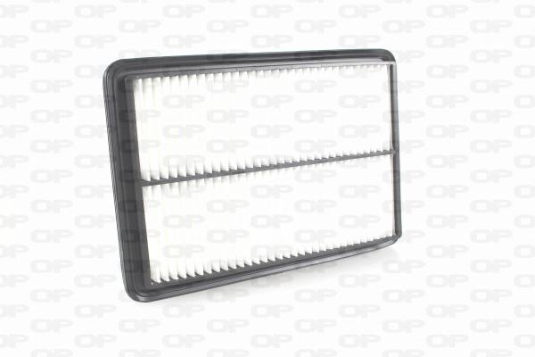 Air Filter (EAF3749.10)
