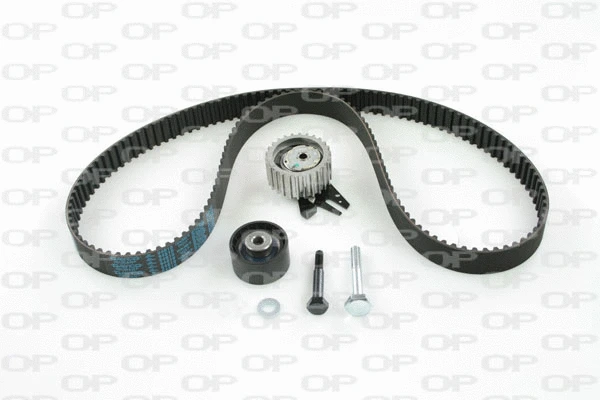 Timing Belt Kit (TBK5003.01)