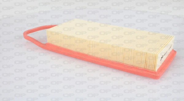 Air Filter (EAF3003.10)