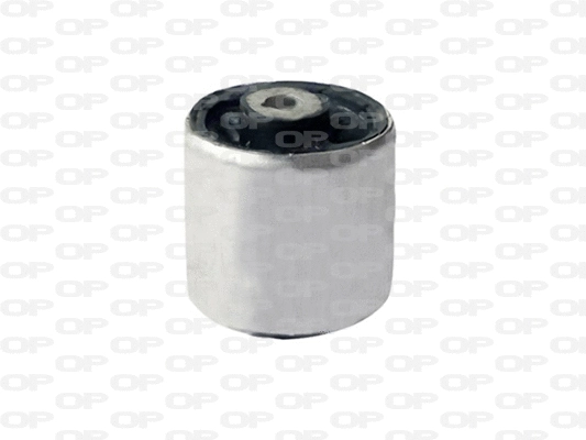 Mounting, control/trailing arm (SSS1143.11)