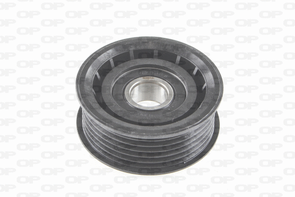 Deflection/Guide Pulley, V-ribbed belt (ACT2001.00)