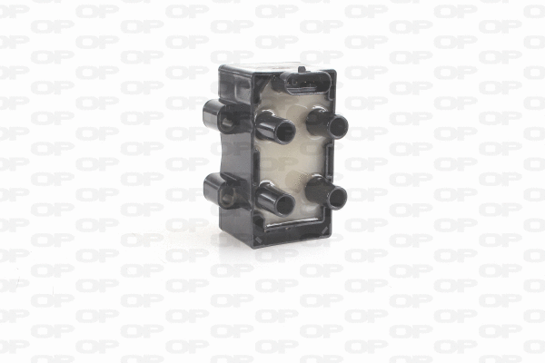 Ignition Coil (IGN1030.00)