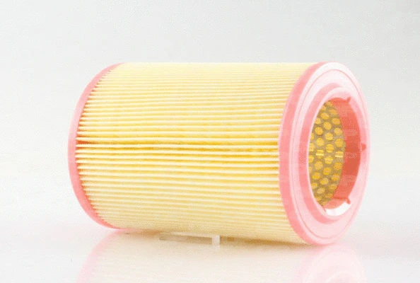 Air Filter (EAF3204.30)