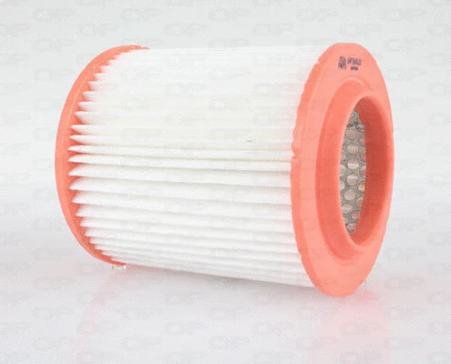 Air Filter (EAF3639.20)