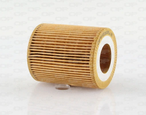 Oil Filter (EOF4236.10)