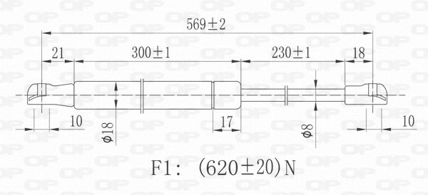 Gas Spring, boot/cargo area