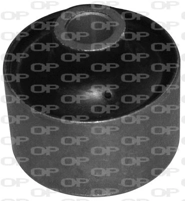 Mounting, control/trailing arm (SSS1065.11)