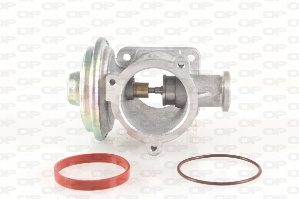 EGR Valve (EGR3051.00)