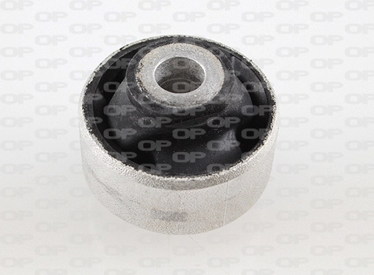 Mounting, control/trailing arm (SSS1177.11)