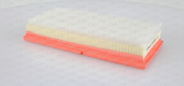 Air Filter (EAF3342.10)