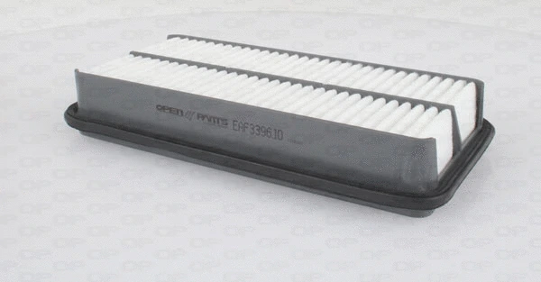Air Filter (EAF3396.10)