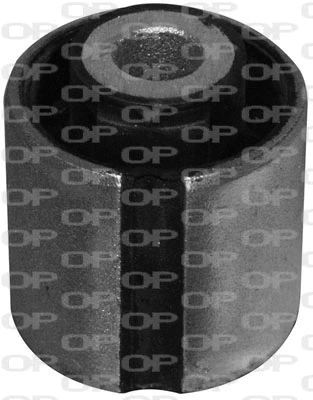 Mounting, control/trailing arm (SSS1094.11)