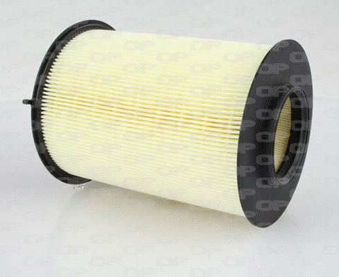 Air Filter (EAF3009.20)