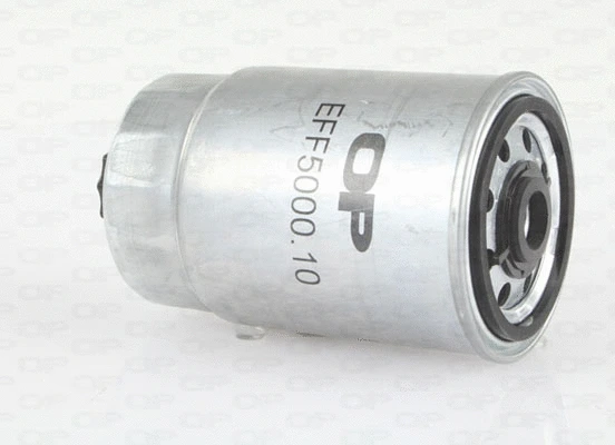 Fuel Filter (EFF5000.10)