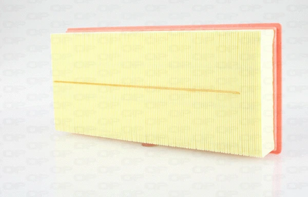 Air Filter (EAF3561.10)