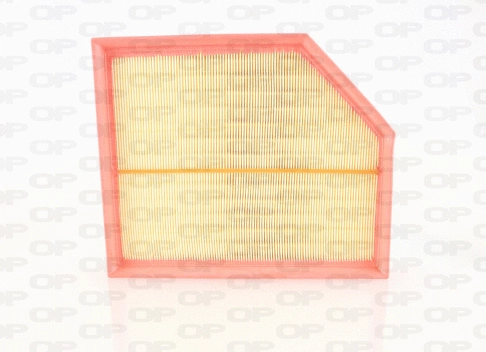 Air Filter (EAF3731.10)