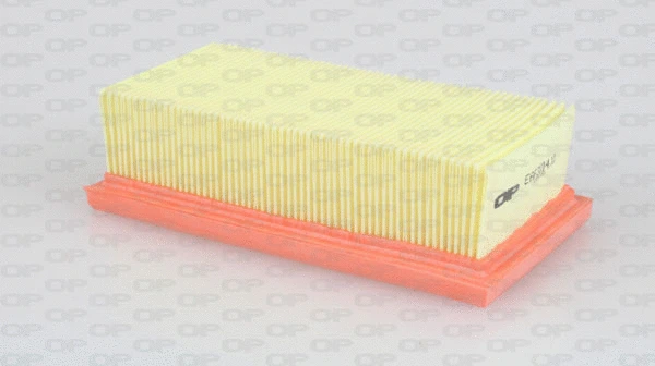 Air Filter (EAF3014.10)