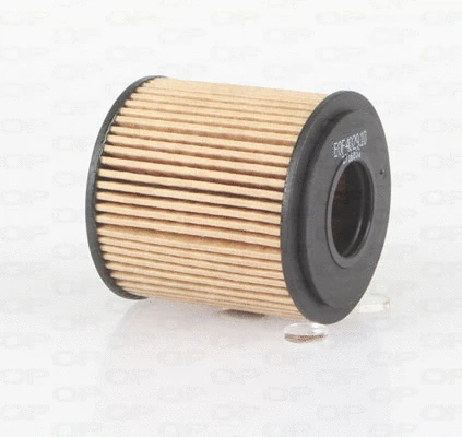 Oil Filter (EOF4029.10)