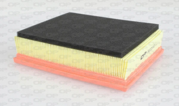 Air Filter (EAF3039.10)
