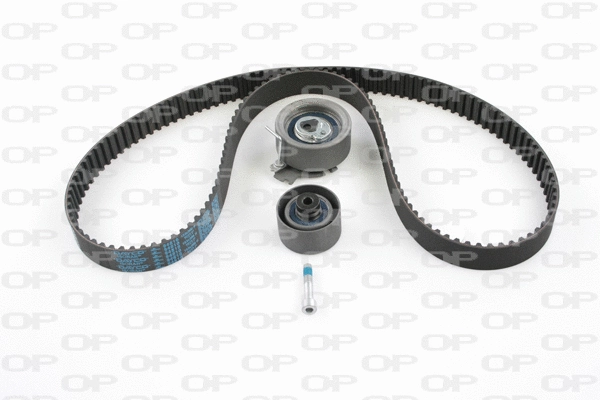 Timing Belt Kit (TBK5023.01)