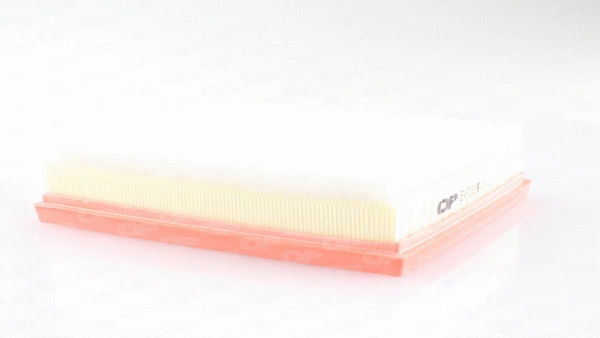 Air Filter (EAF3654.10)