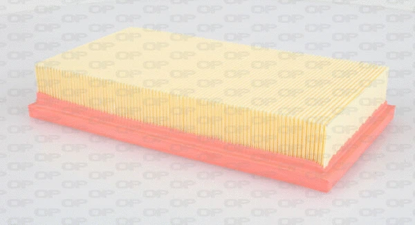 Air Filter (EAF3006.10)
