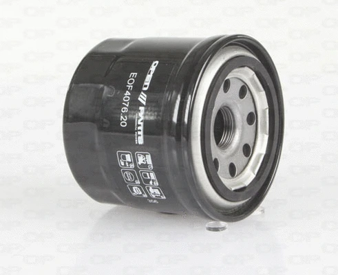Oil Filter (EOF4076.20)