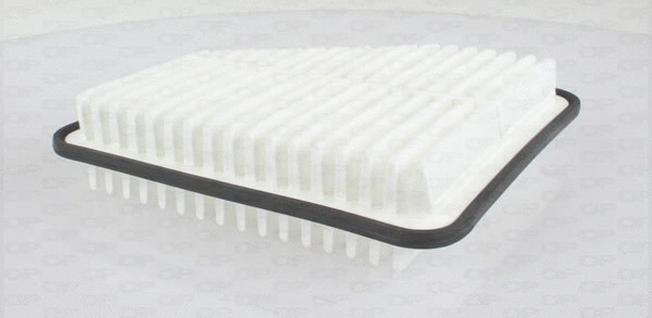 Air Filter (EAF3513.10)