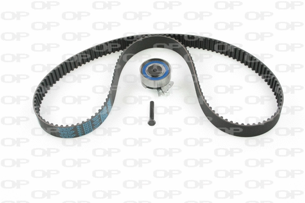 Timing Belt Kit (TBK5025.01)