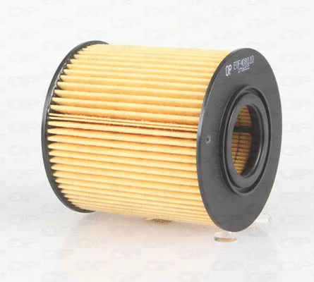 Oil Filter (EOF4080.10)
