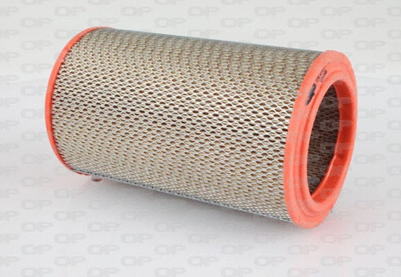 Air Filter (EAF3135.20)