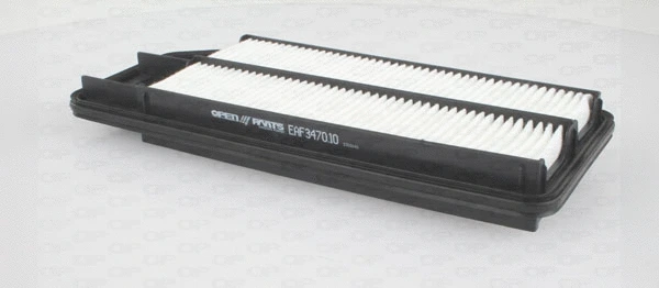 Air Filter (EAF3470.10)