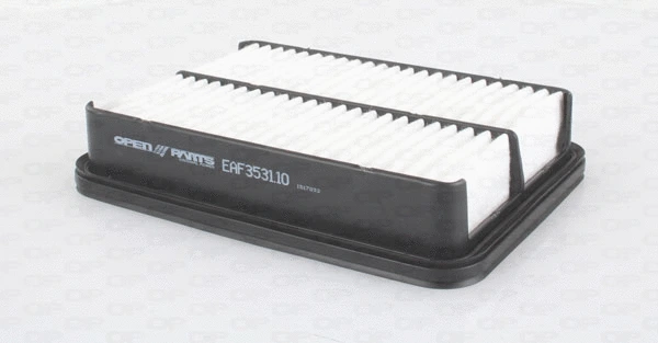 Air Filter (EAF3531.10)