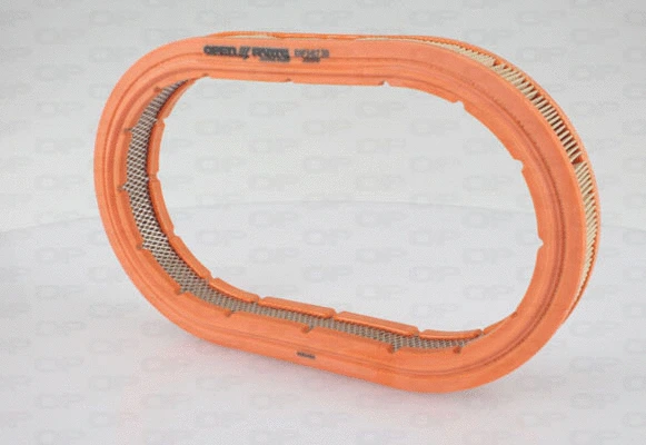 Air Filter (EAF3417.30)