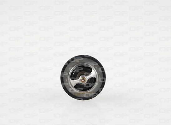 Thermostat, coolant (TRM1138.00)