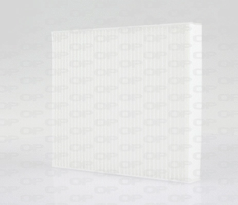 Filter, cabin air (CAF2268.01)