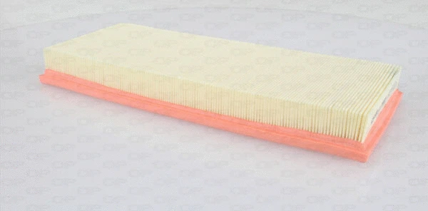 Air Filter (EAF3377.10)