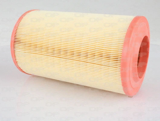 Air Filter (EAF3011.20)