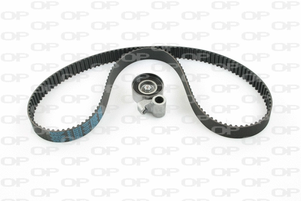 Timing Belt Kit (TBK5080.01)