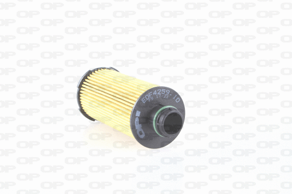 Oil Filter (EOF4259.10)
