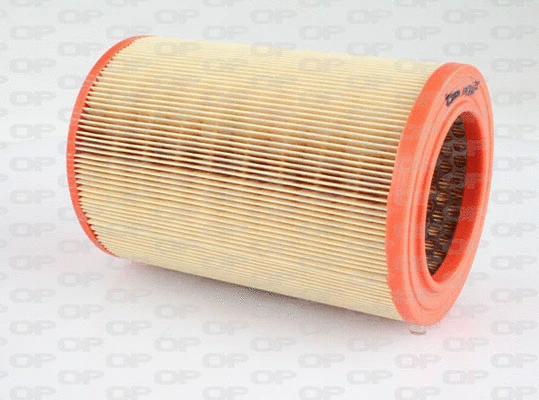 Air Filter (EAF3163.20)