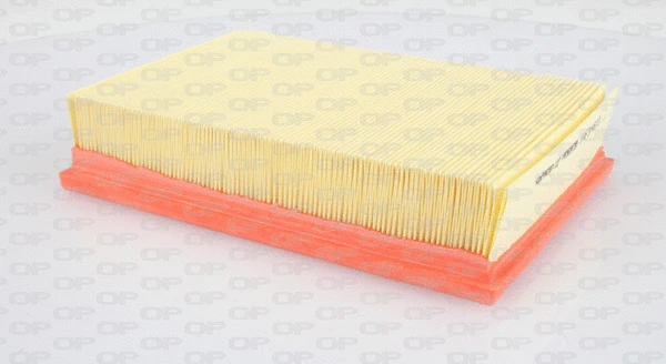 Air Filter (EAF3146.10)