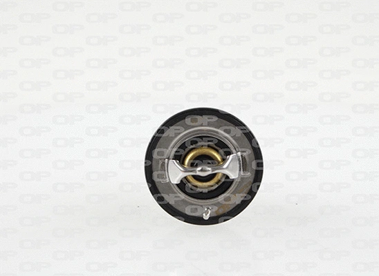 Thermostat, coolant (TRM1107.00)