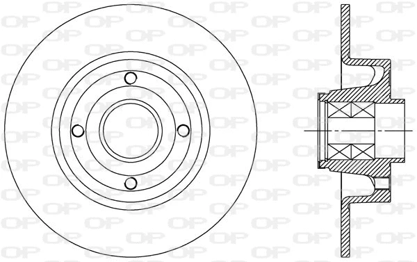 Brake Disc (BDA2165.30)