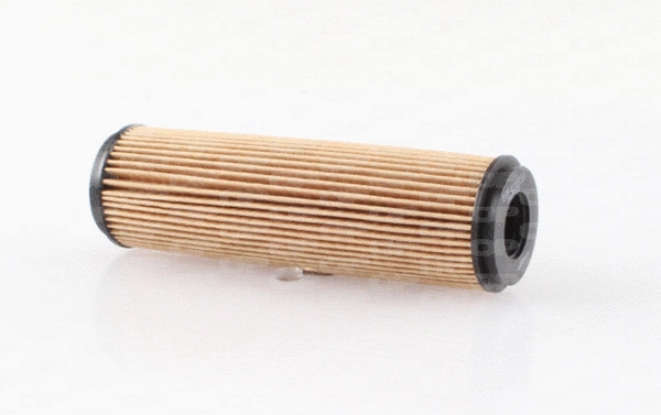 Oil Filter (EOF4218.10)