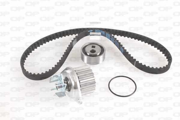 Water Pump & Timing Belt Kit (WTBK5126.00)