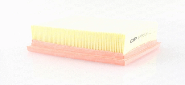 Air Filter (EAF3455.10)