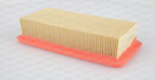 Air Filter (EAF3360.10)