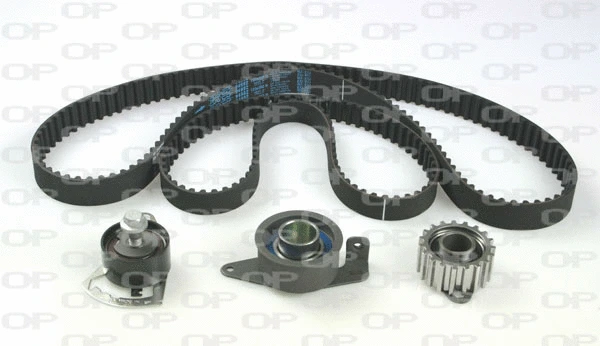 Timing Belt Kit (TBK5100.01)